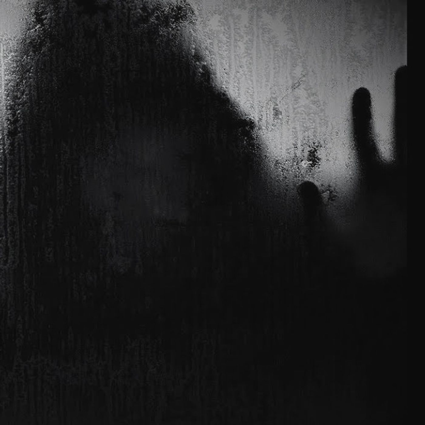 Voces De La Noche