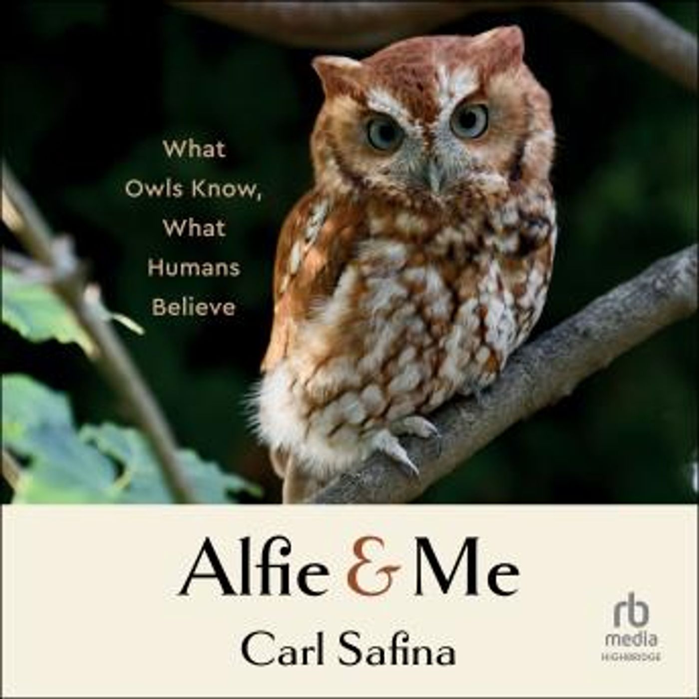 Free Audiobooks in Biography & Memoir, Memoirs