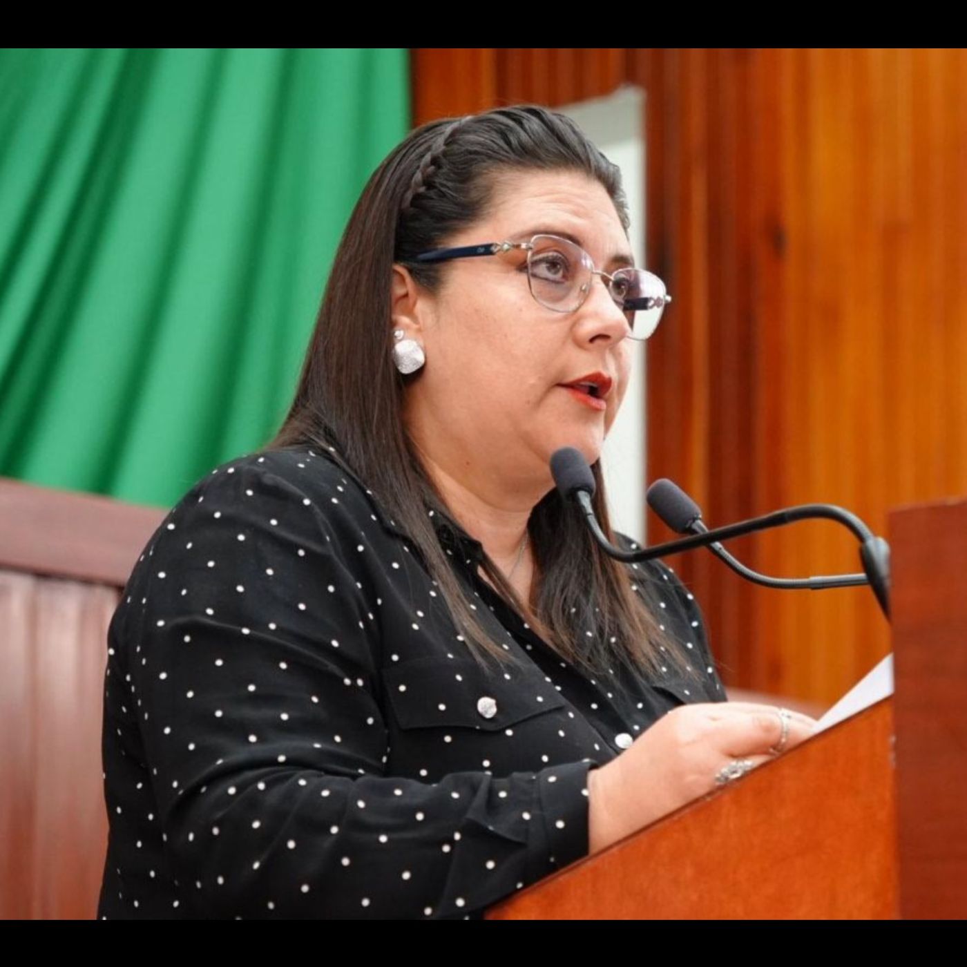 PROPONE LA DIPUTADA SORAYA BOCARDO CREAR LA FISCALÍA ESPECIALIZADA EN DELITOS CONTRA LOS ANIMALES EN EL ESTADO