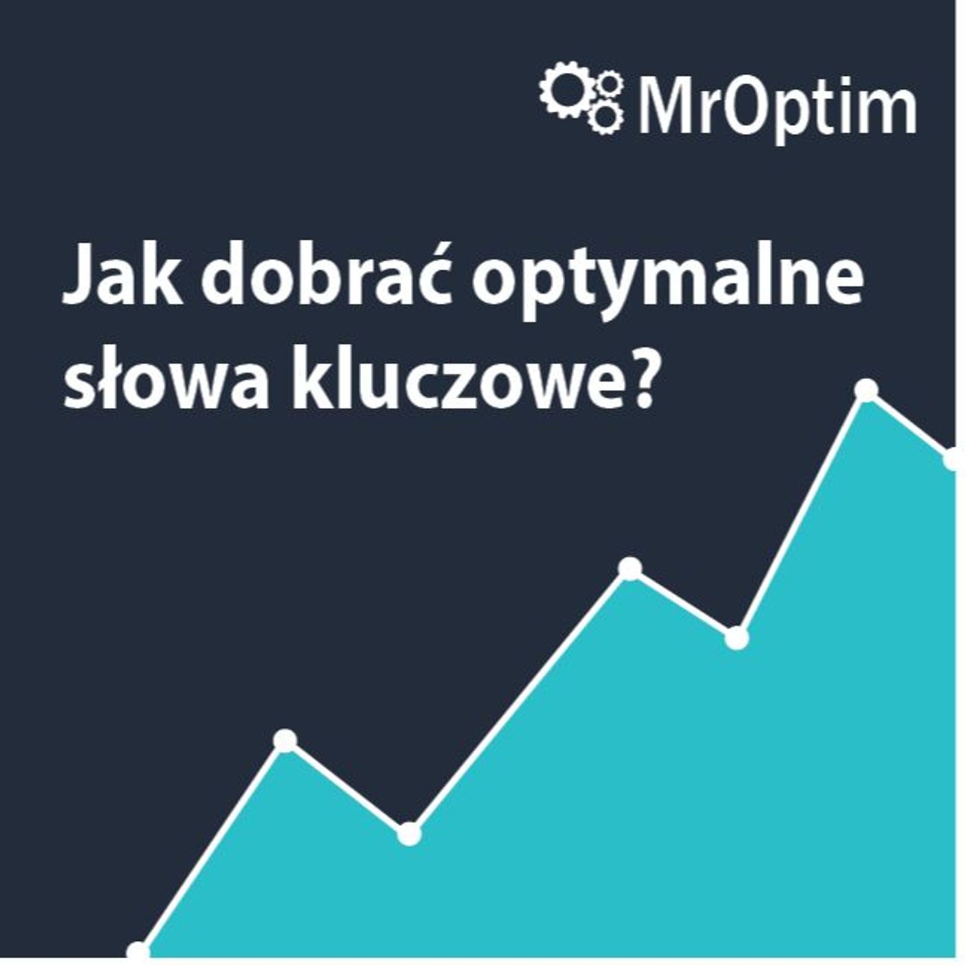 Jak dobrać optymalne słowa kluczowe MrOptim