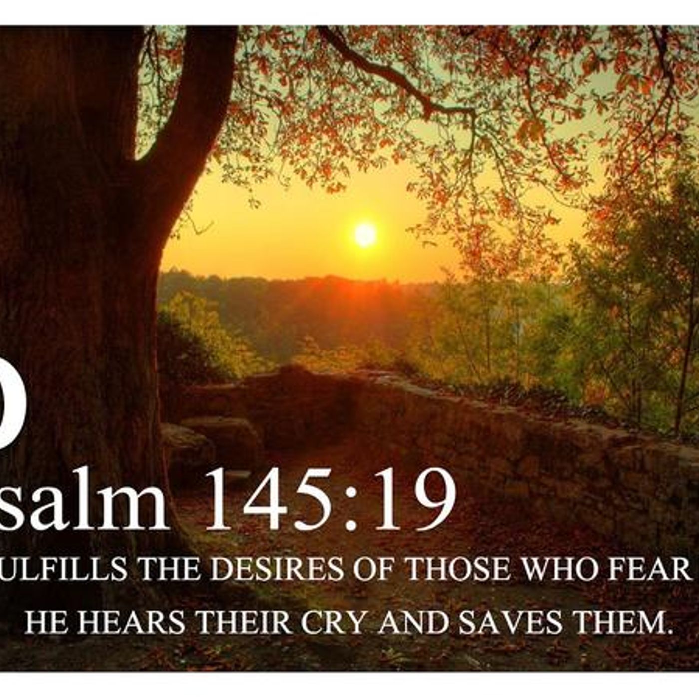 God And Those Who Fear Him (Part 2) Psalm 145:18-19 - S9 [B329] episode artwork