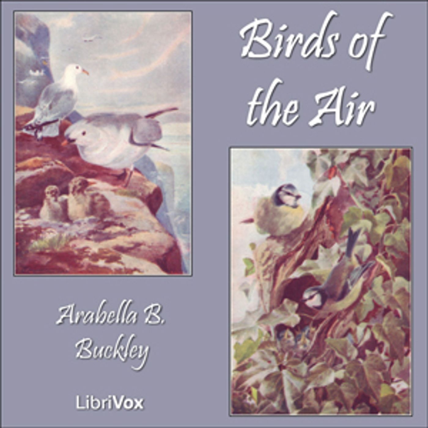 Birds of the Air by Arabella B. Buckley podcast artwork