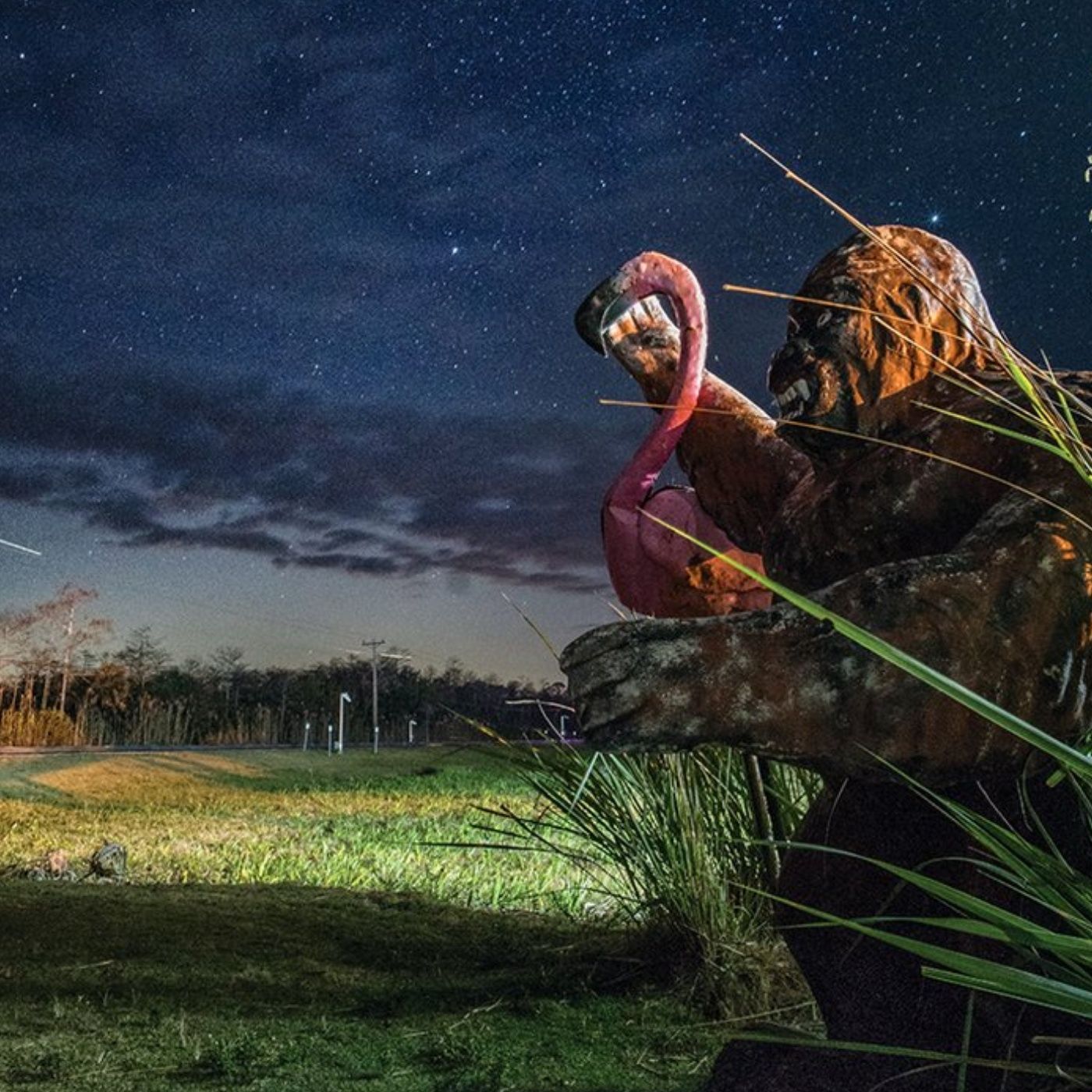 The Complete History of the Florida Skunk Ape: Genesis, Giants, & more... episode artwork