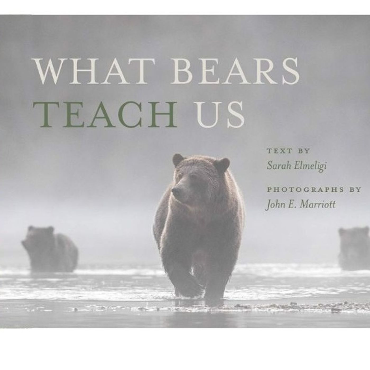 WHAT BEARS TEACH US  Author Sarah Elmeligi talks with Eli Francovich episode artwork
