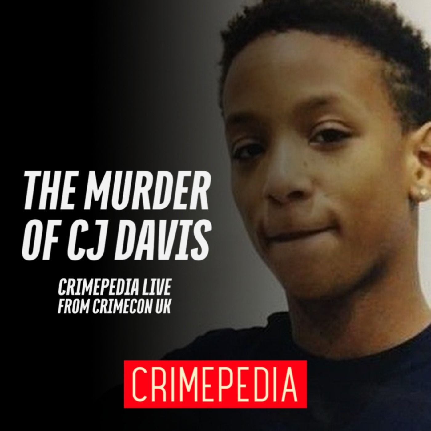 Crimepedia