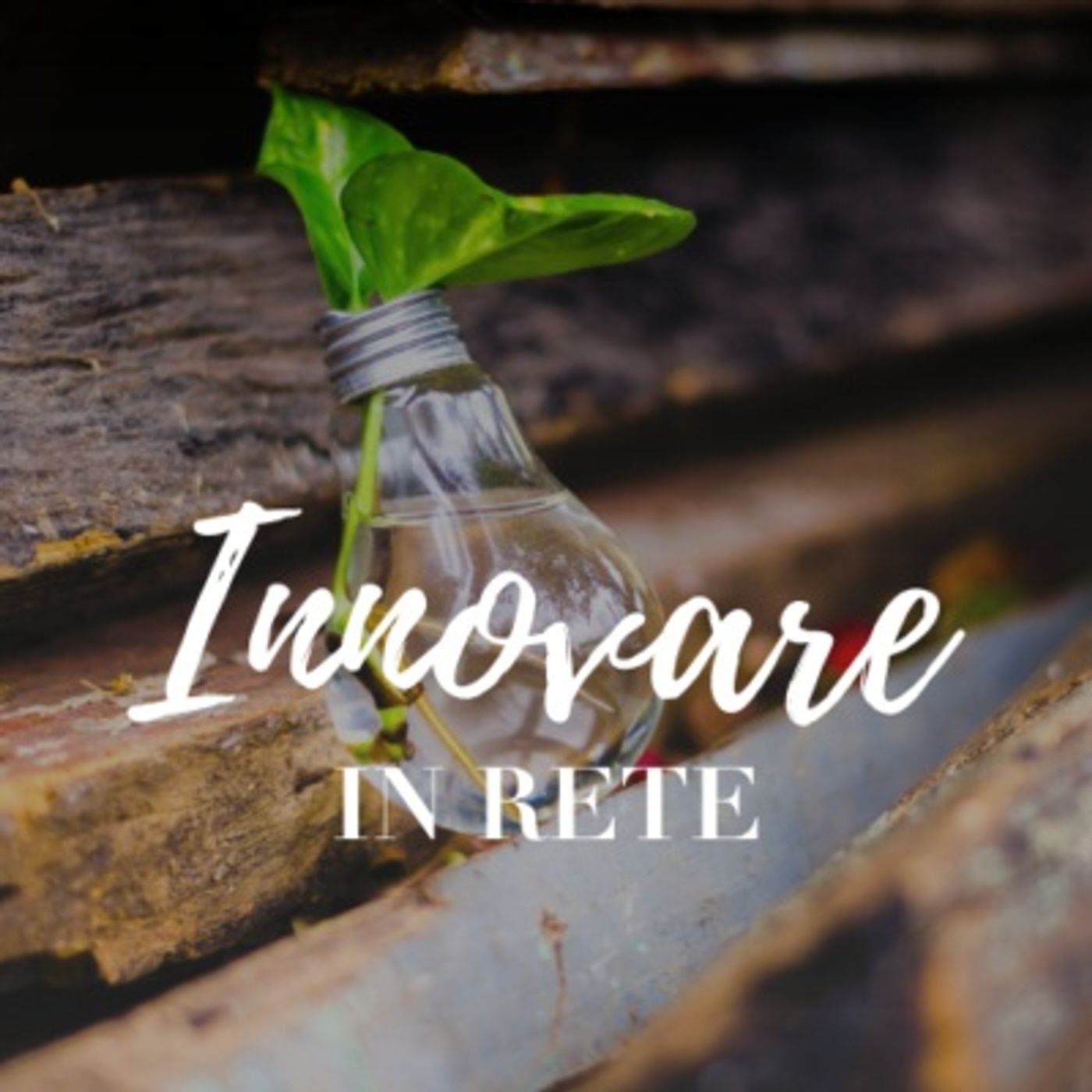Innovare in Rete. Percorsi di crescita per progetti a impatto sociale e ambientale episode artwork