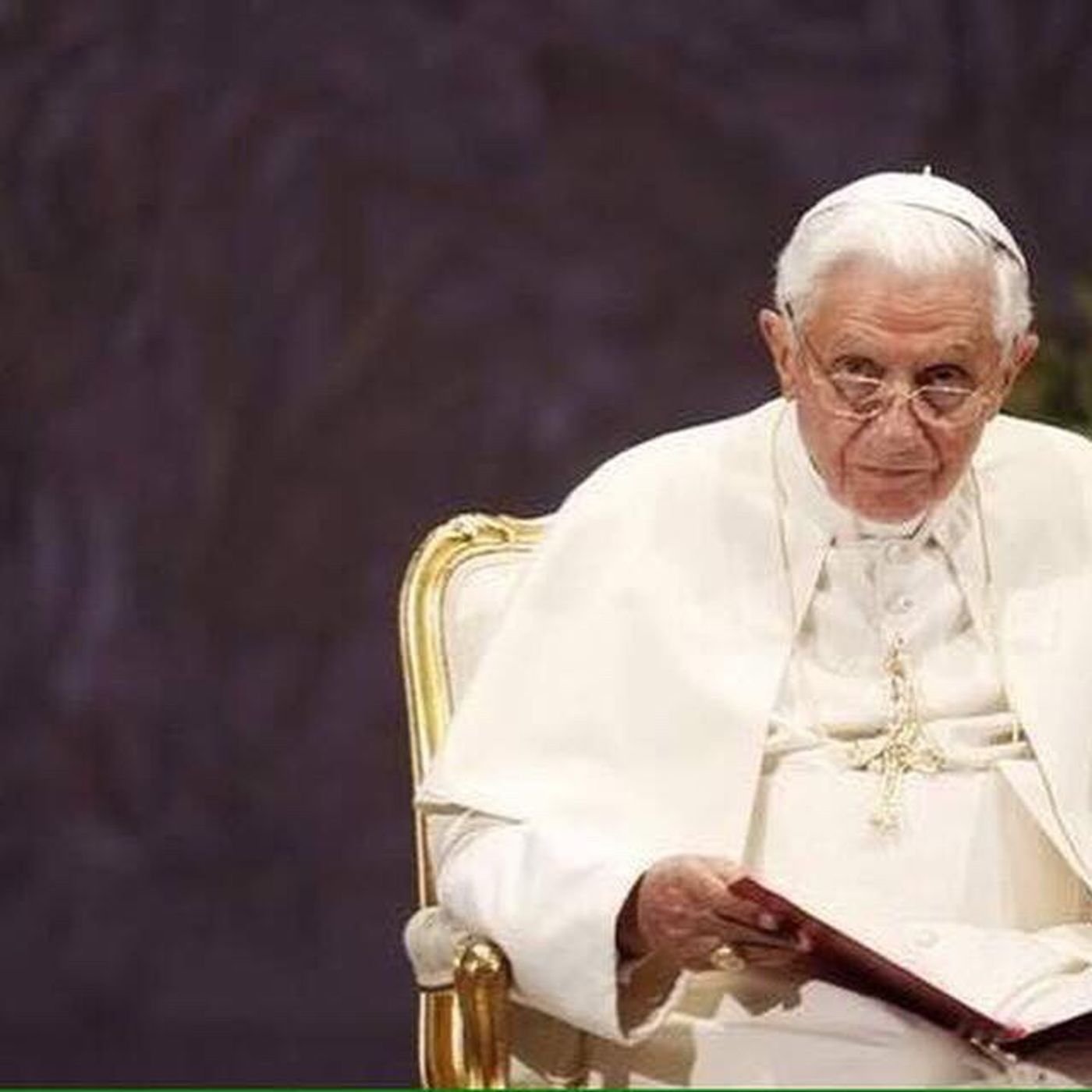 Papa Benedetto 16/SER Gänswein