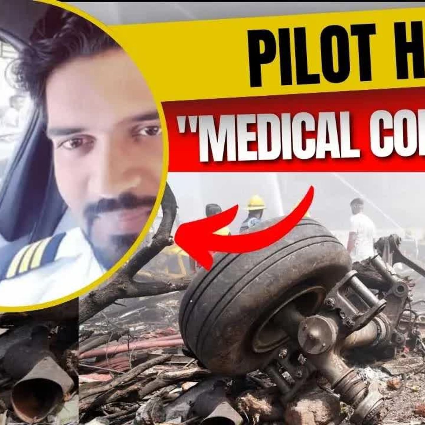 AIR INDIA A Brief Psyche Evaluation of Both Pilots episode artwork