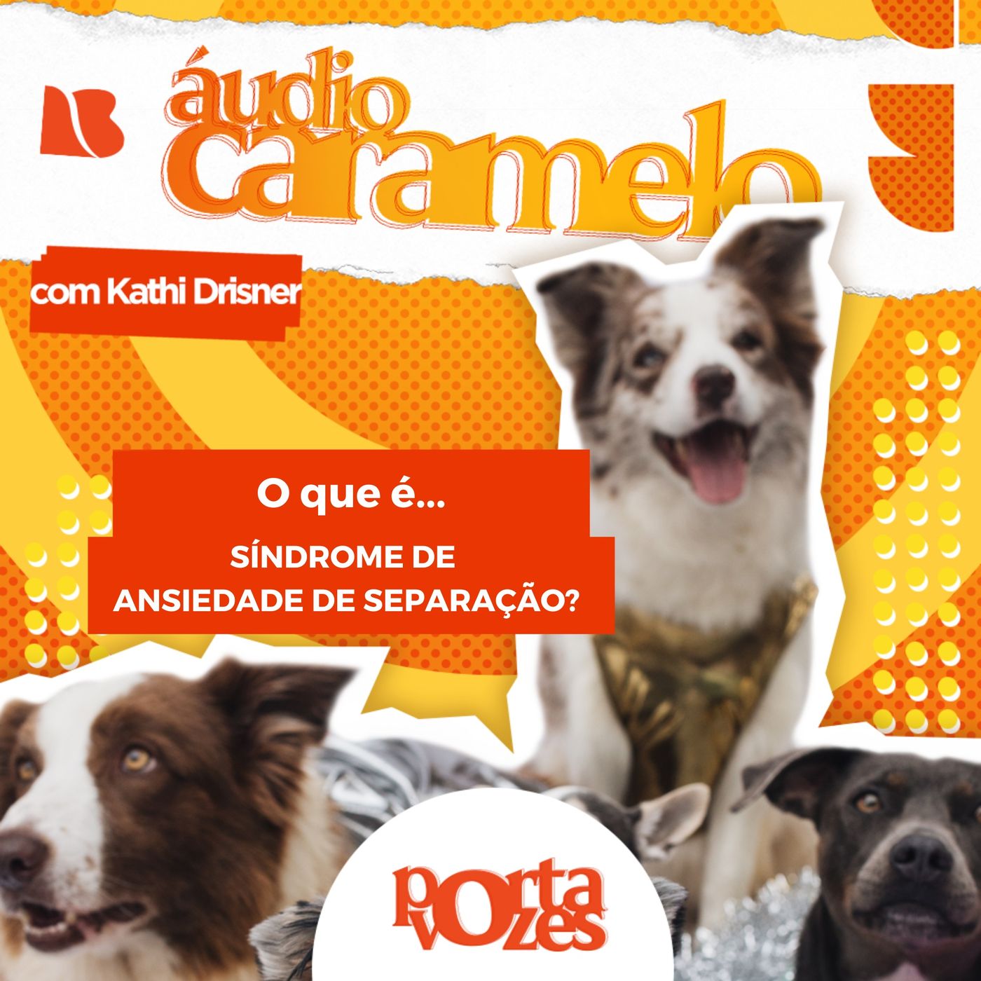 Síndrome de Ansiedade de Separação nos pets | Áudio Caramelo episode artwork