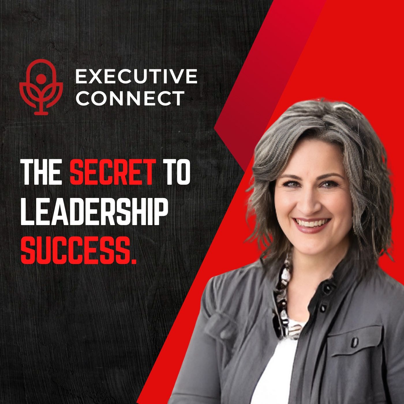 The Executive Connect Podcast