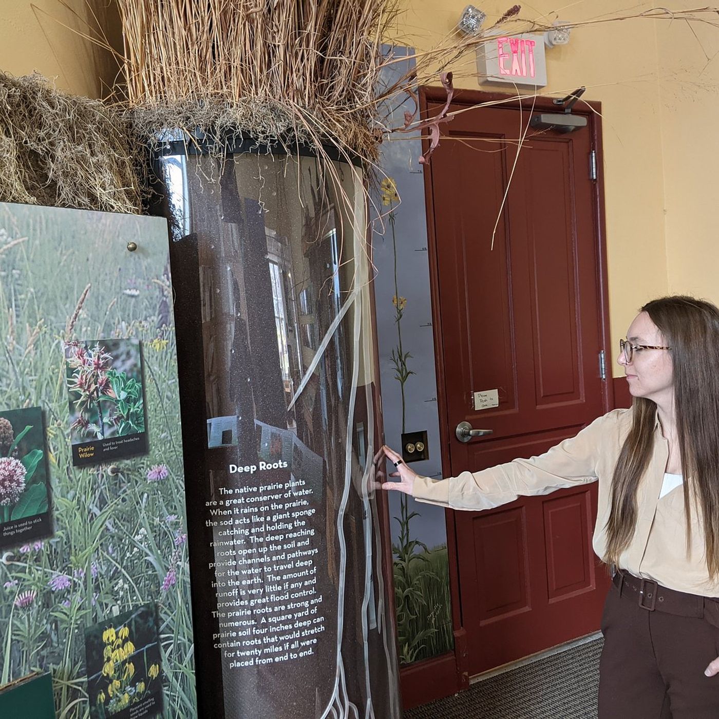 Work nearing completion on Kendall County forest preserve  projects