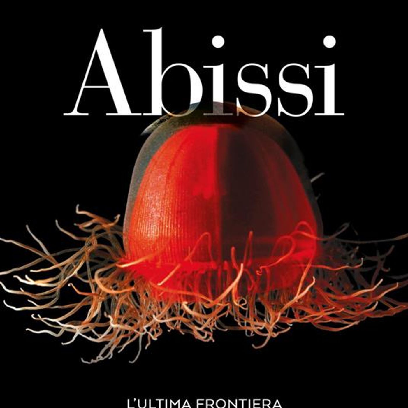 Roberto Danovaro "Abissi" episode artwork