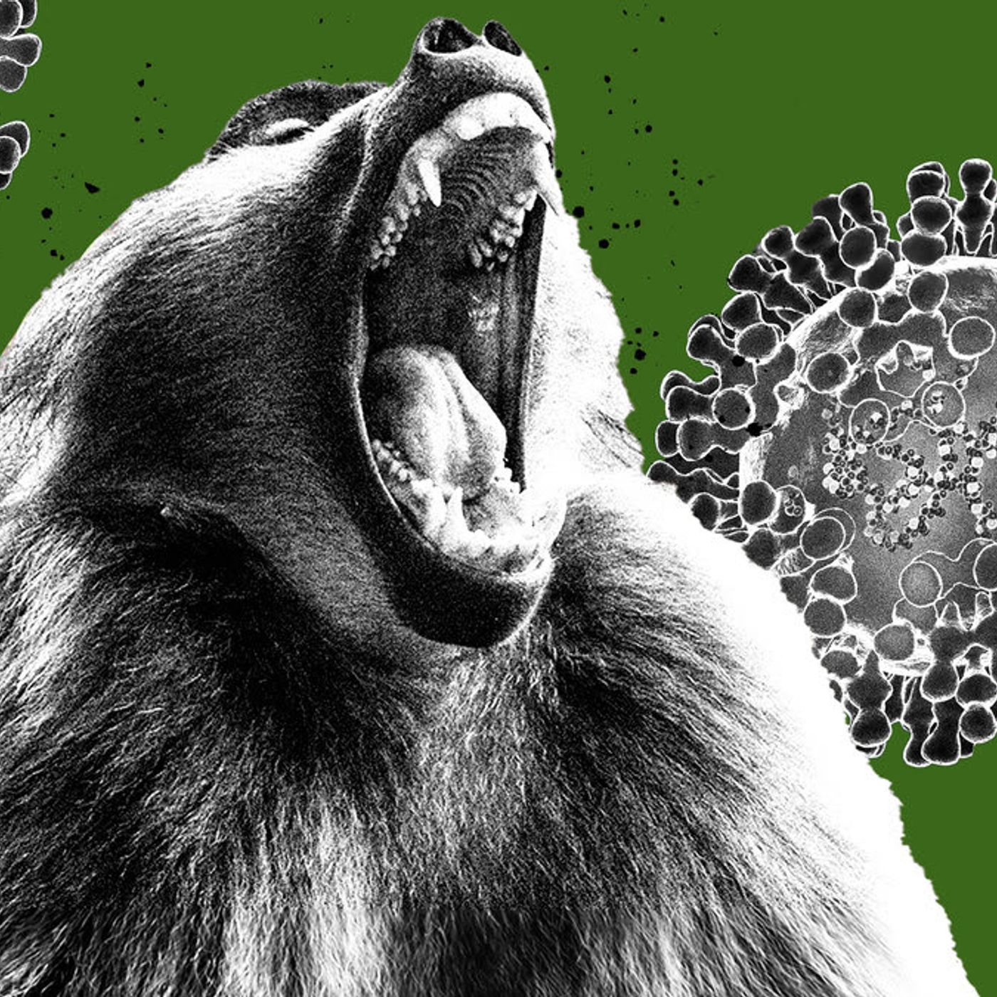 Monkeypox Conspiracy Podcasts | You Can't Make This Up