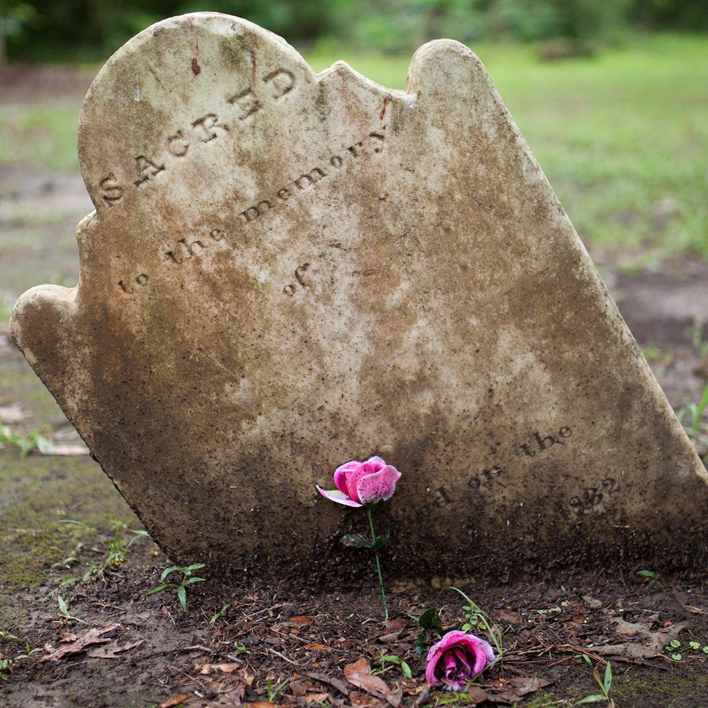 Full Show: I will 'get over it' when I DANCE ON THEIR GRAVES
