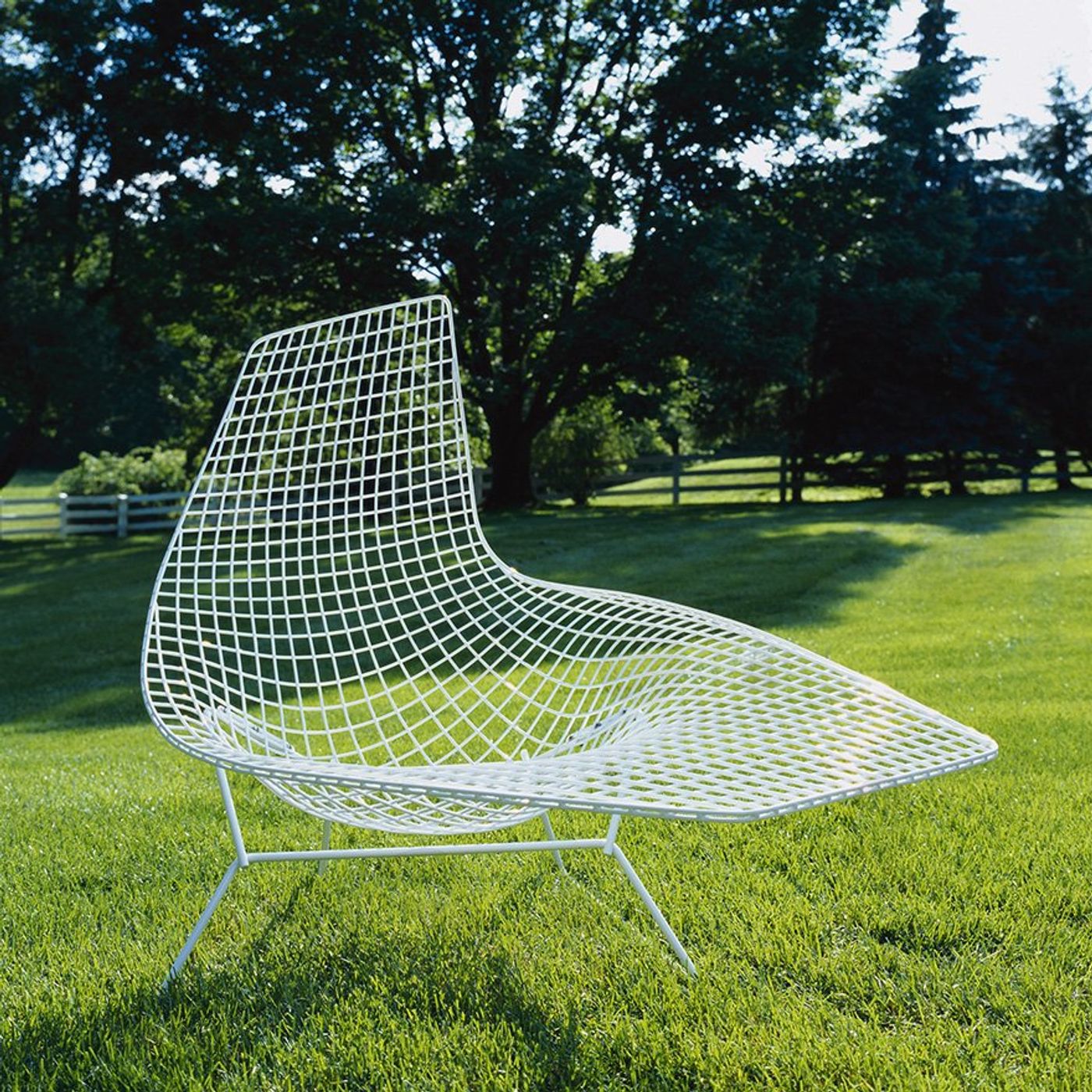 Harry Bertoia Podcast