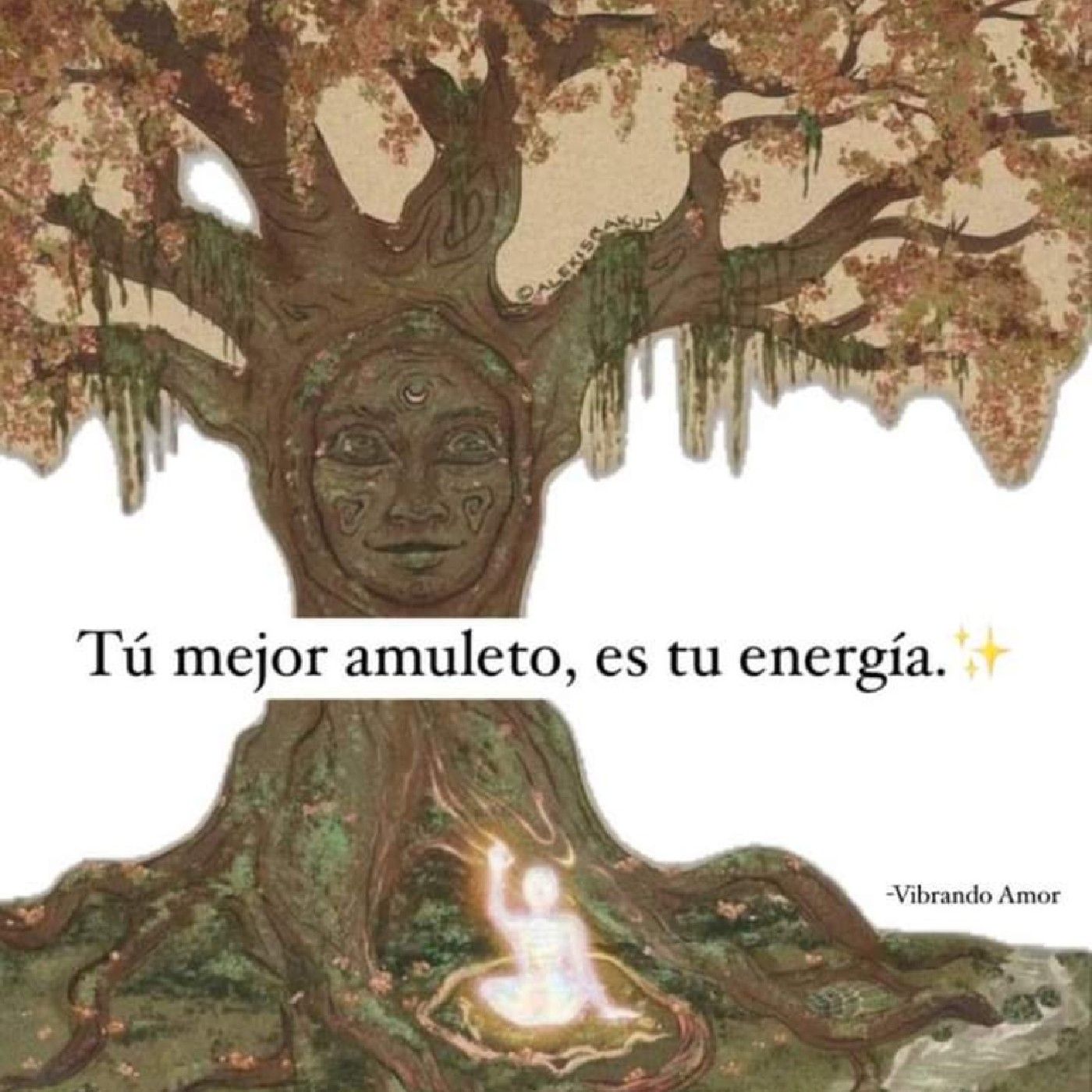 Conservación de los humedales podcast artwork