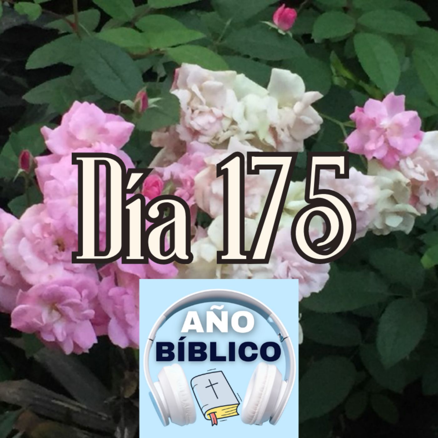 Día 175 - Salmos 75:1-6, 1 Crónicas 5; 1 Crónicas 6:1-53 y Romanos 2:17-29 episode artwork