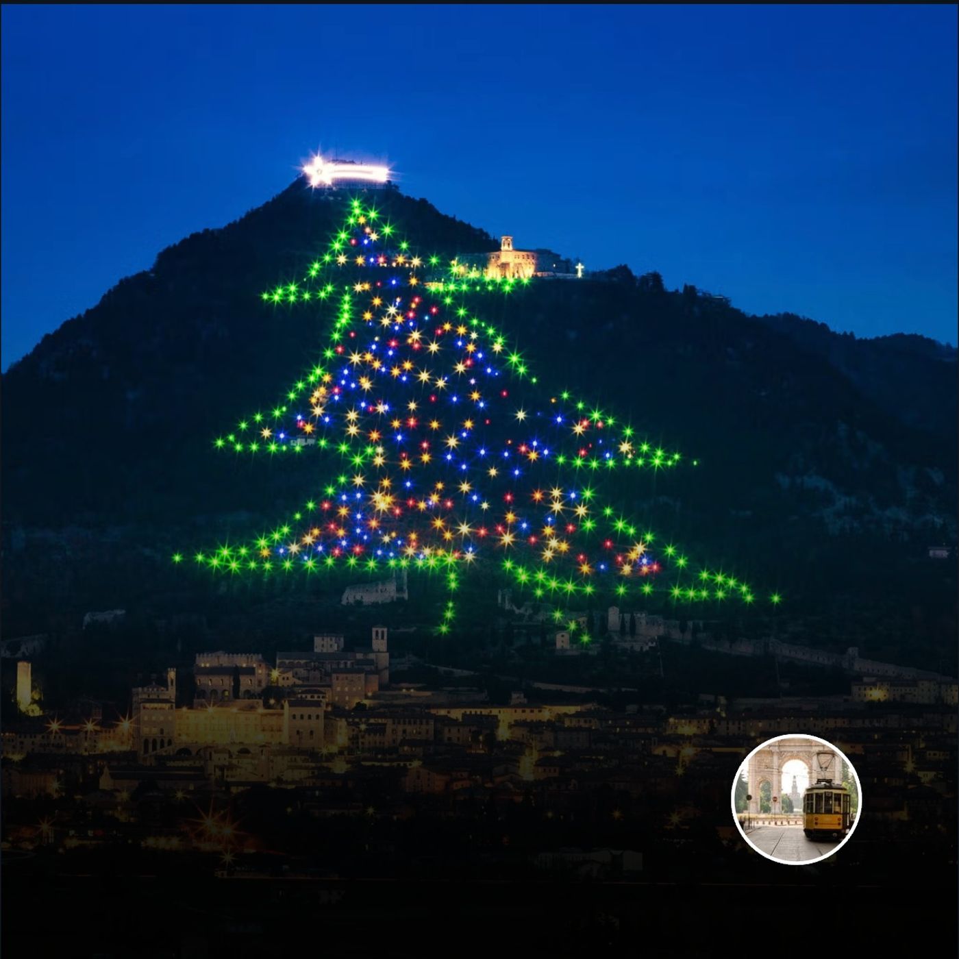 El árbol de Navidad más grande del mundo episode artwork