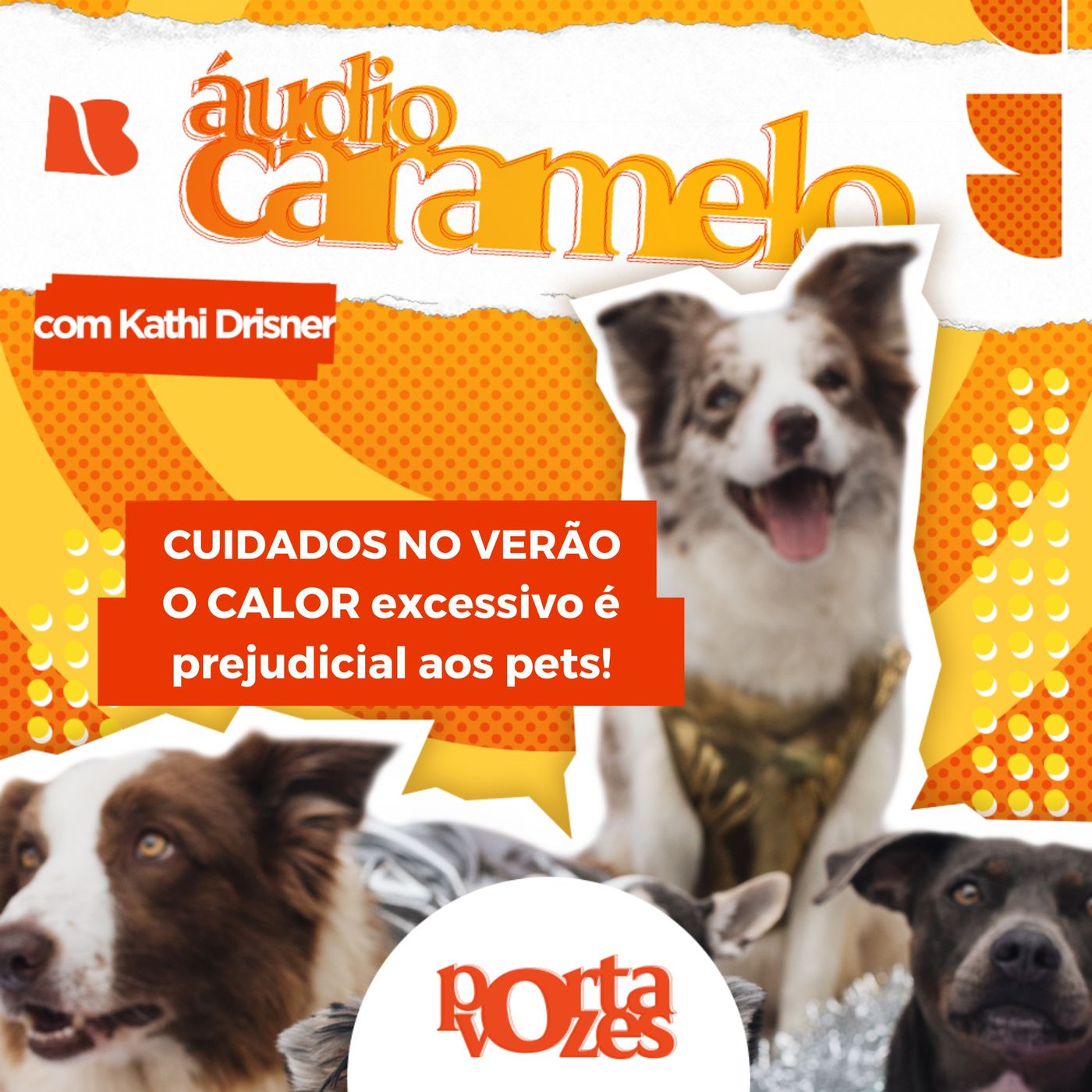 Cuidados pets durante o verão | Áudio Caramelo episode artwork