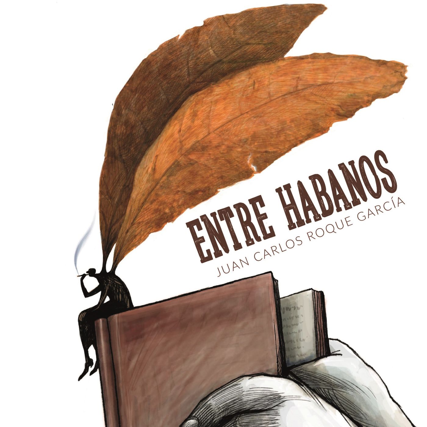 Libros de J. C. Roque García y su editorial