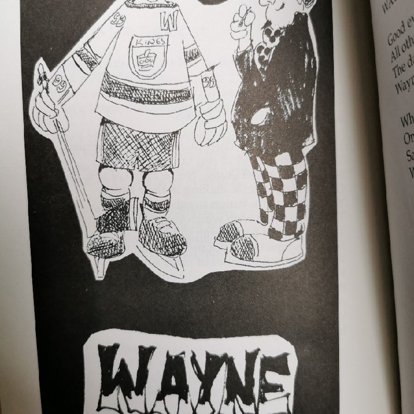 Wayne Drops