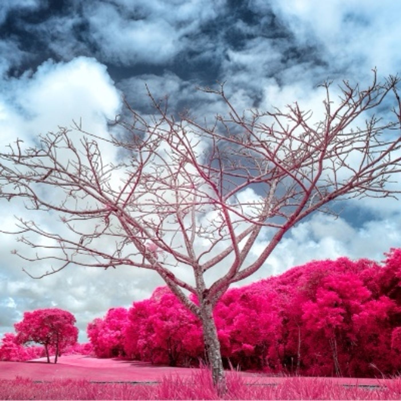 Crónicas Fotográficas
