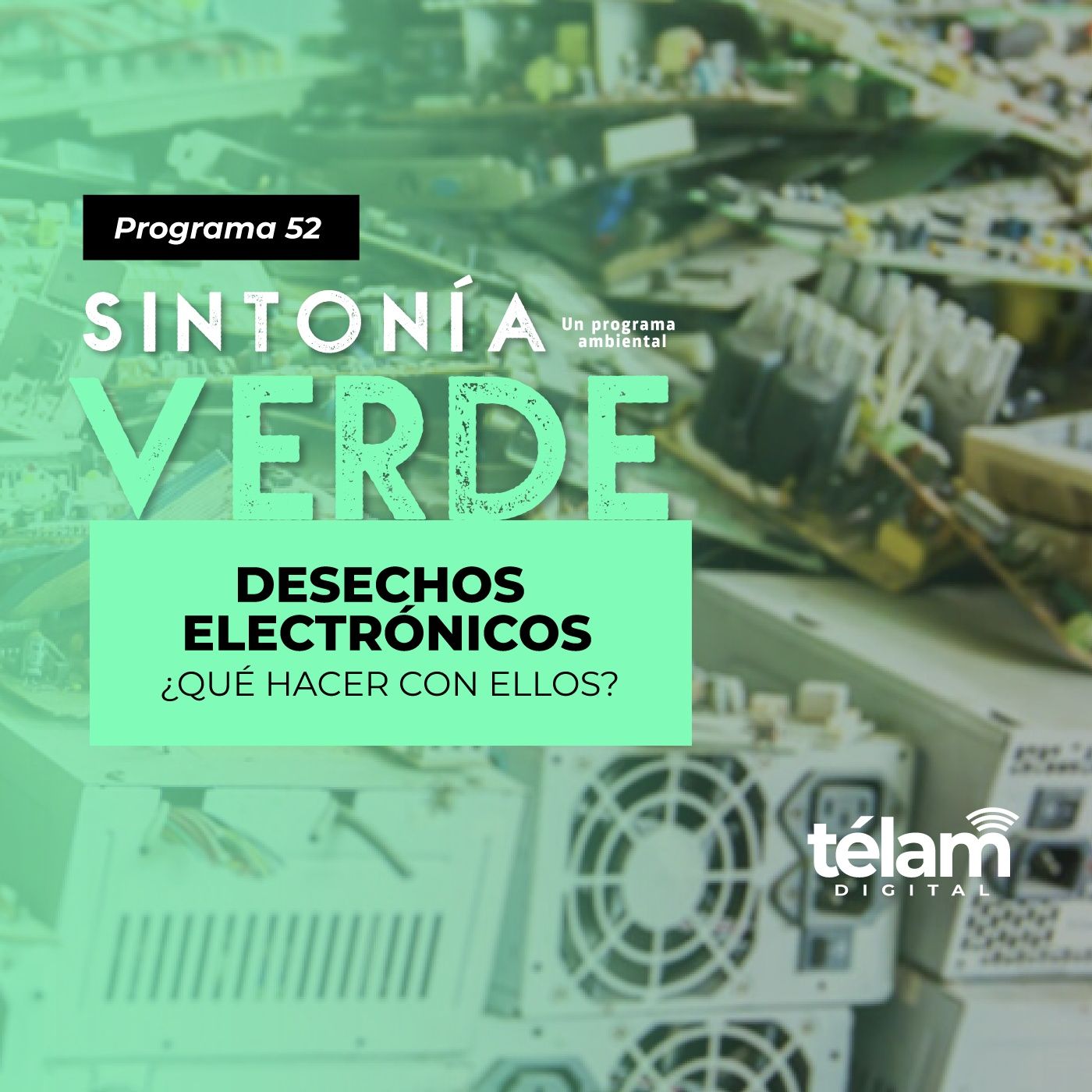Sintonía Verde, un programa ambiental