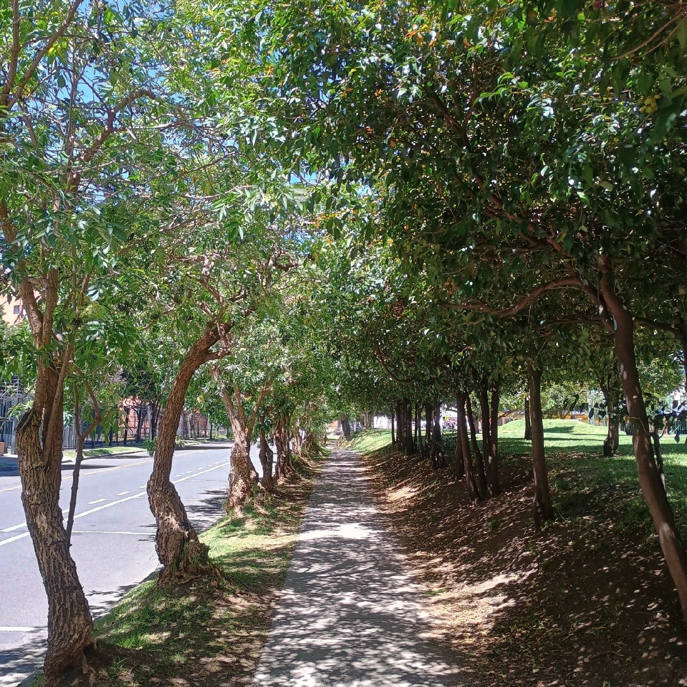 Un libro más ... Podcast de Diana R. cover art