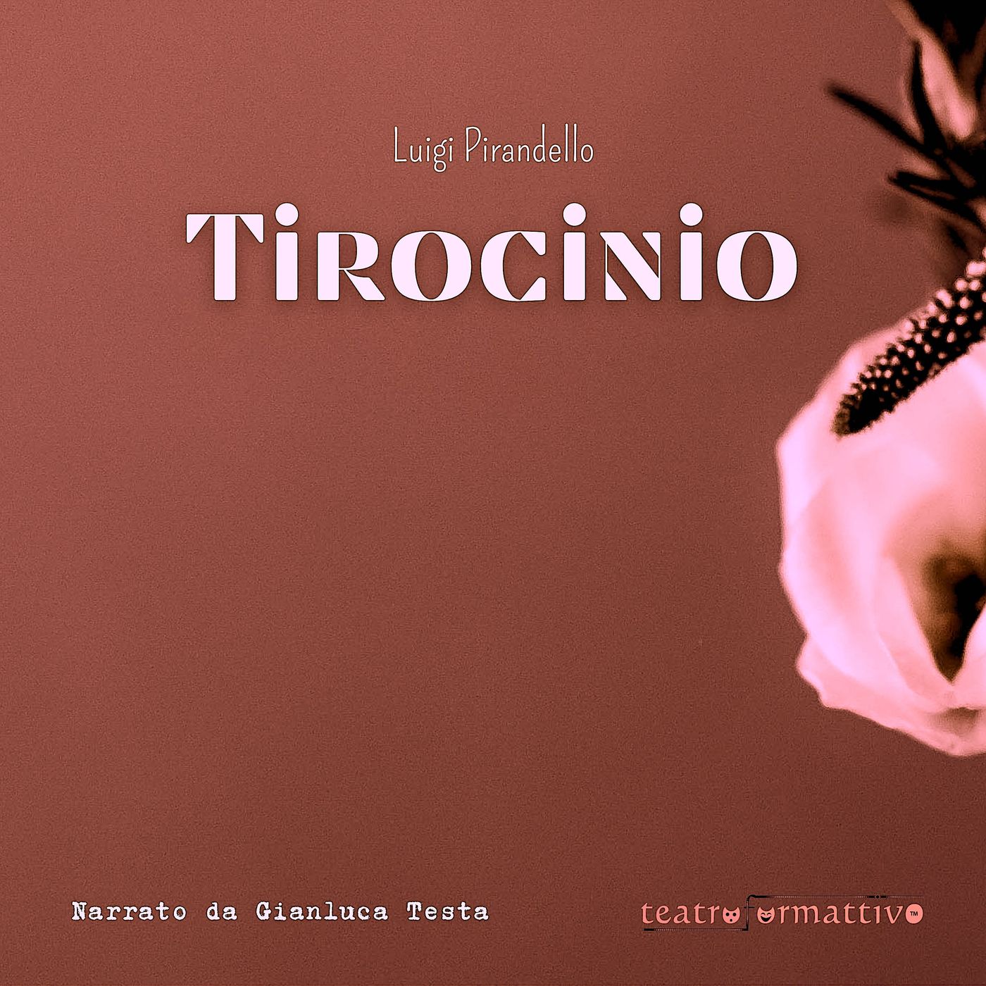 Audiolibri, audiodrammi e film sonori