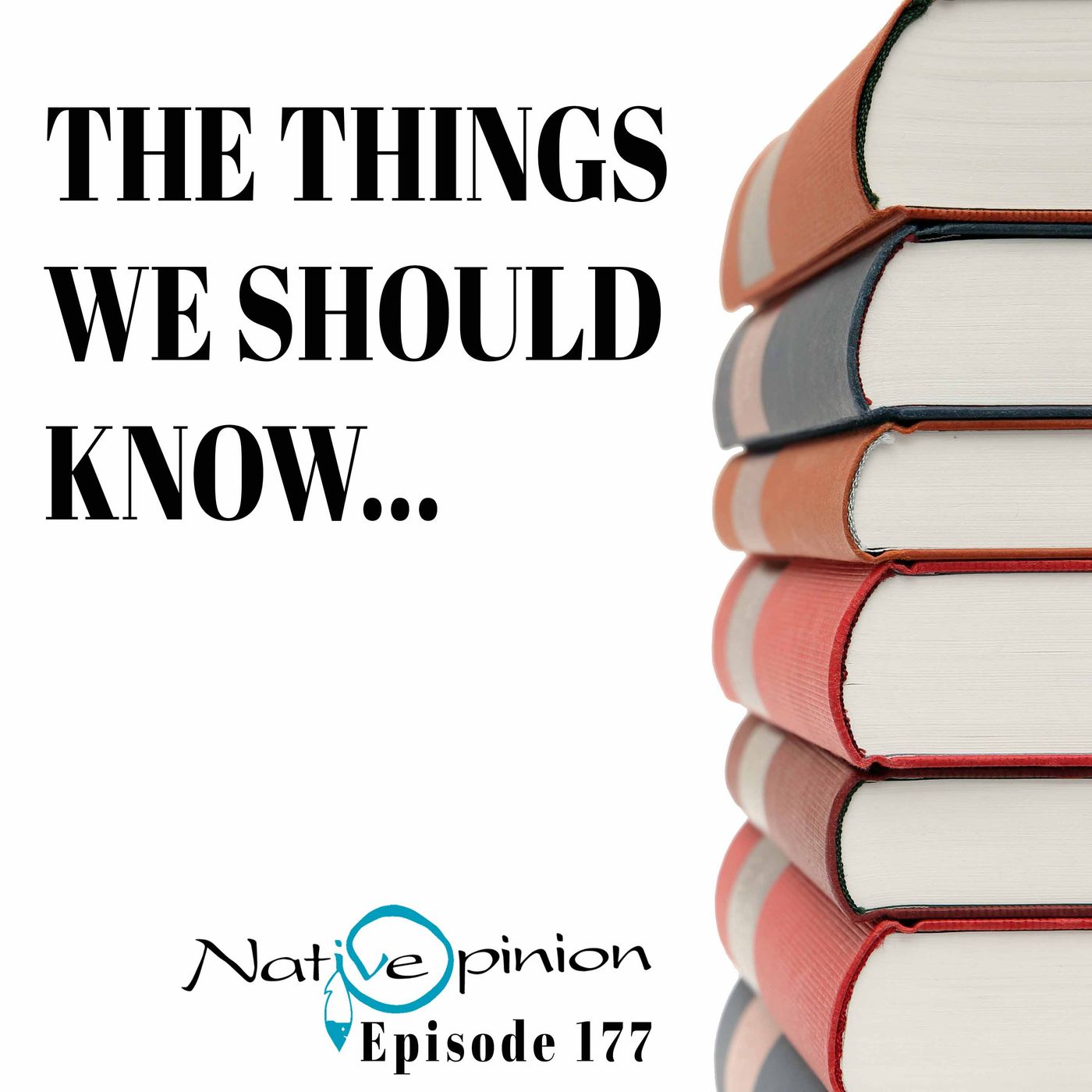 THE THINGS WE SHOULD KNOW - podcast episode cover