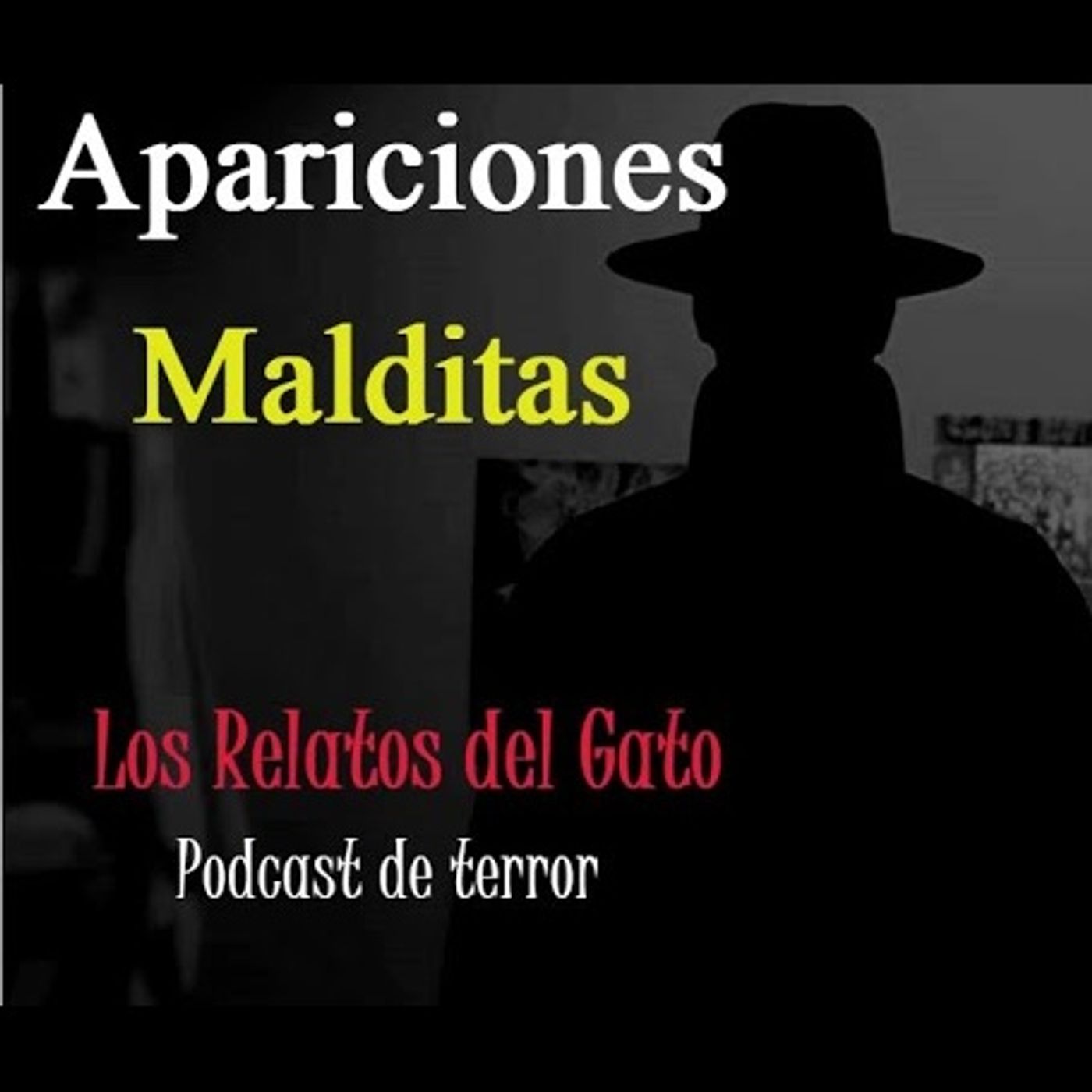 Relatos de Terror del Gato