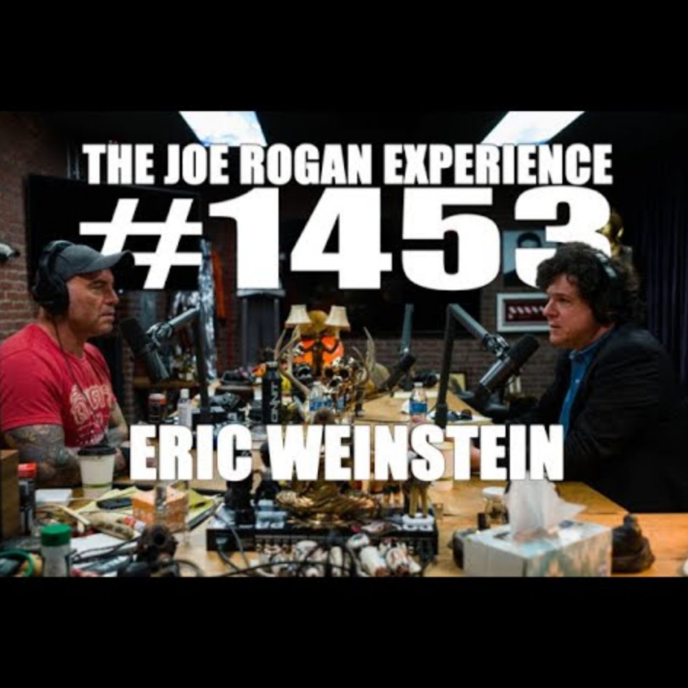 Joe Rogan Experience _1453 - Eric Weinstein(M4A_128K)