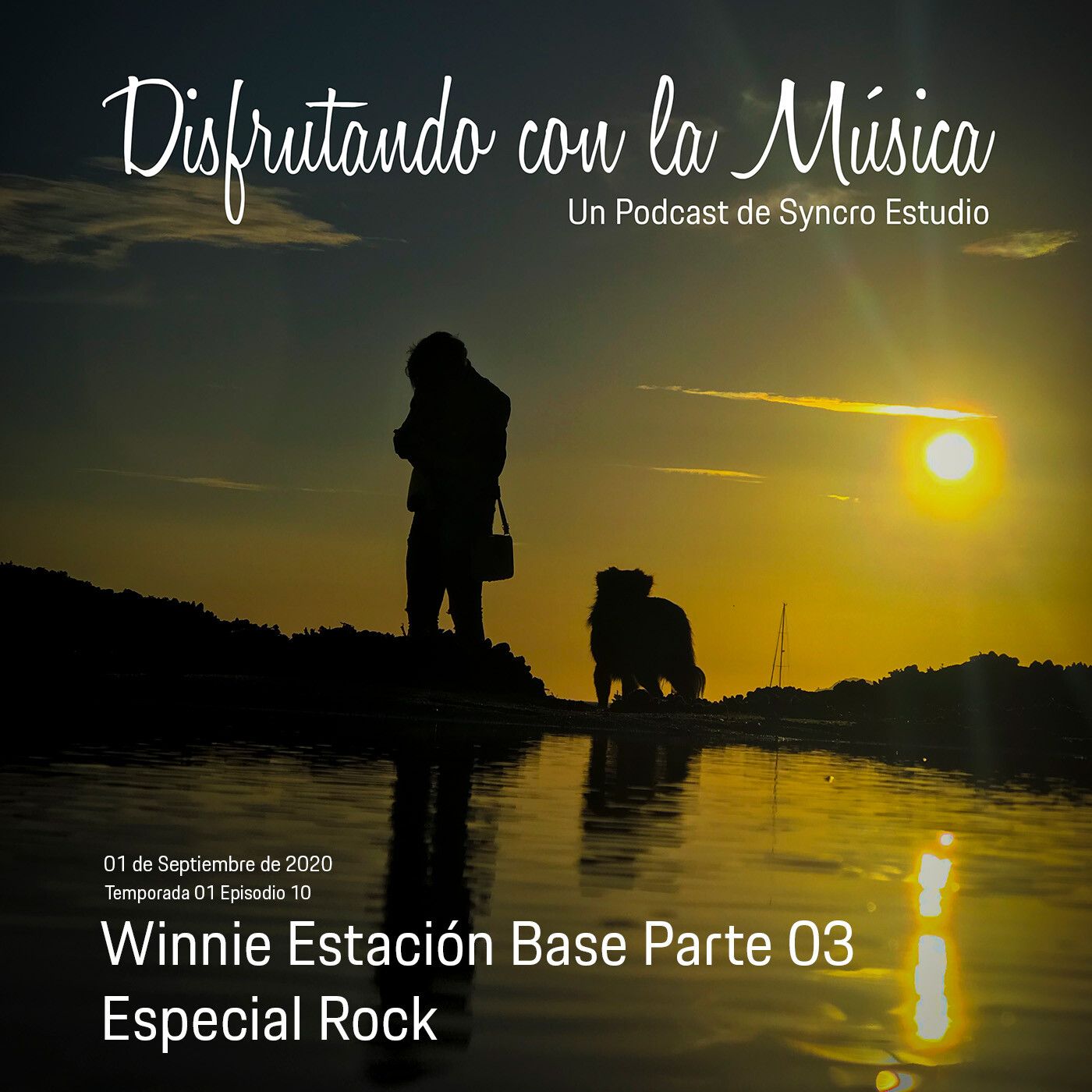 Disfrutando con la Música