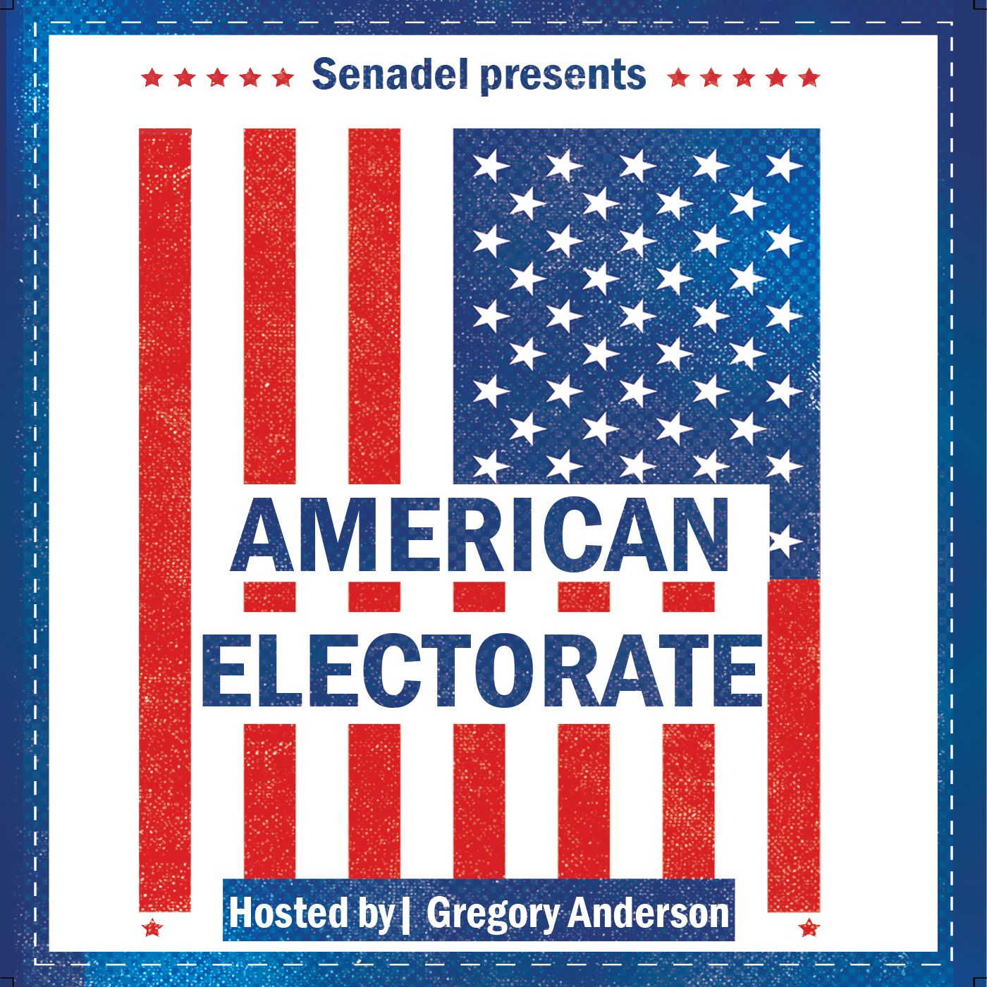 The American Electorate