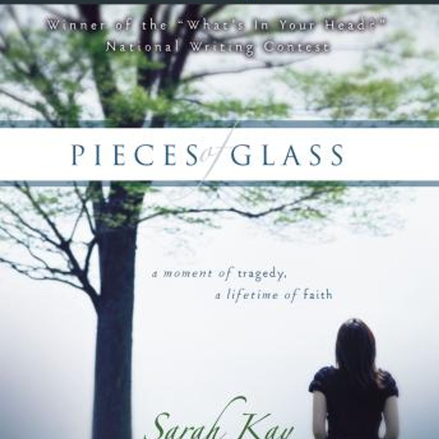 Pieces of Glass: A Moment of Tragedy, a Lifetime of Faith by Sarah Kay episode artwork