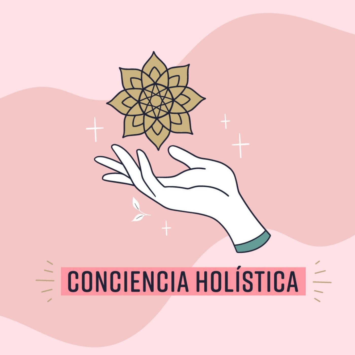 Conciencia Holistica