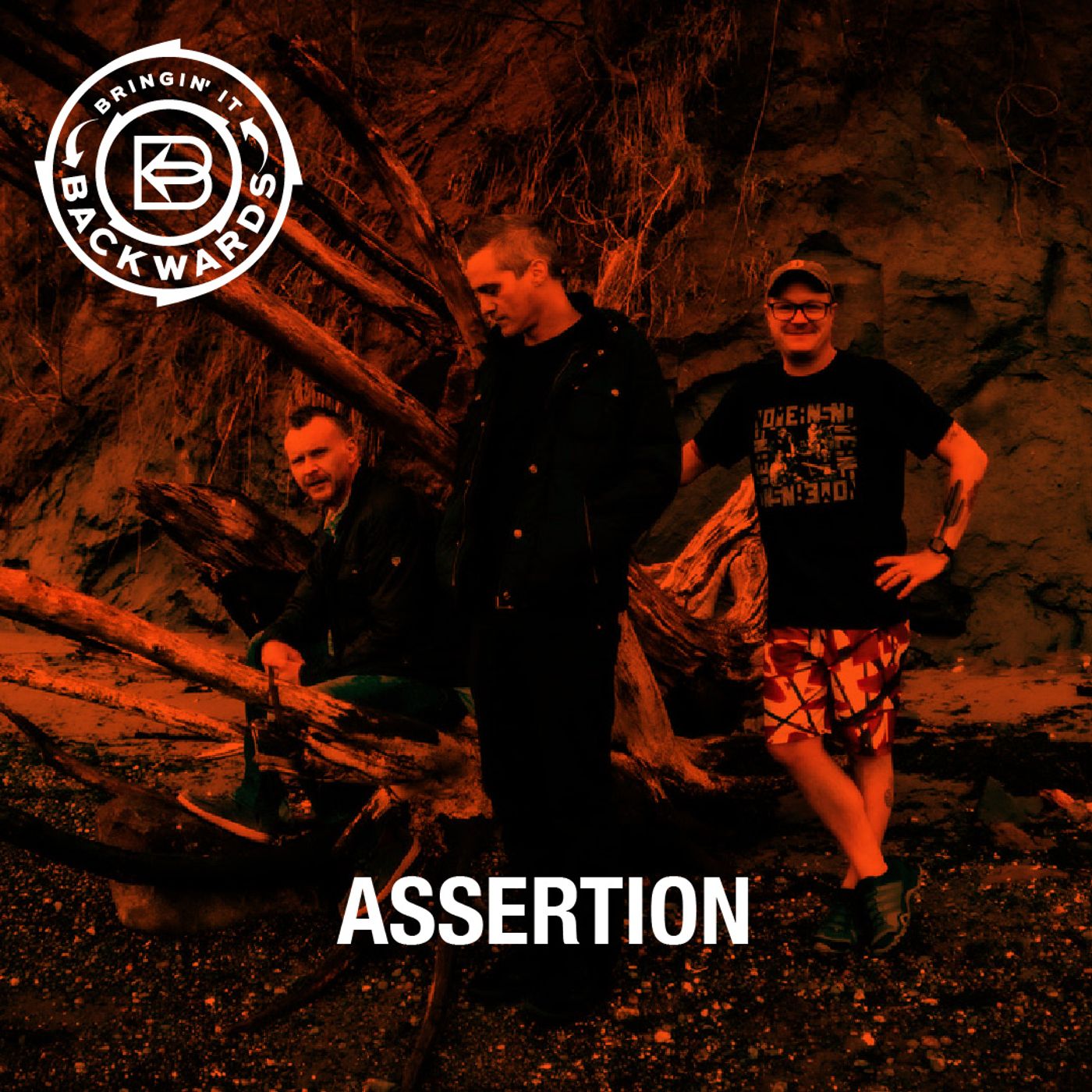 Interview with Assertion