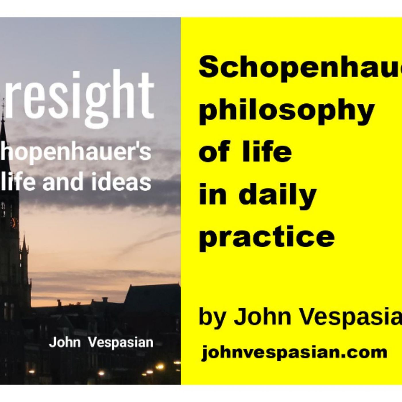 Schopenhauer’s philosophy of life in daily practice episode artwork