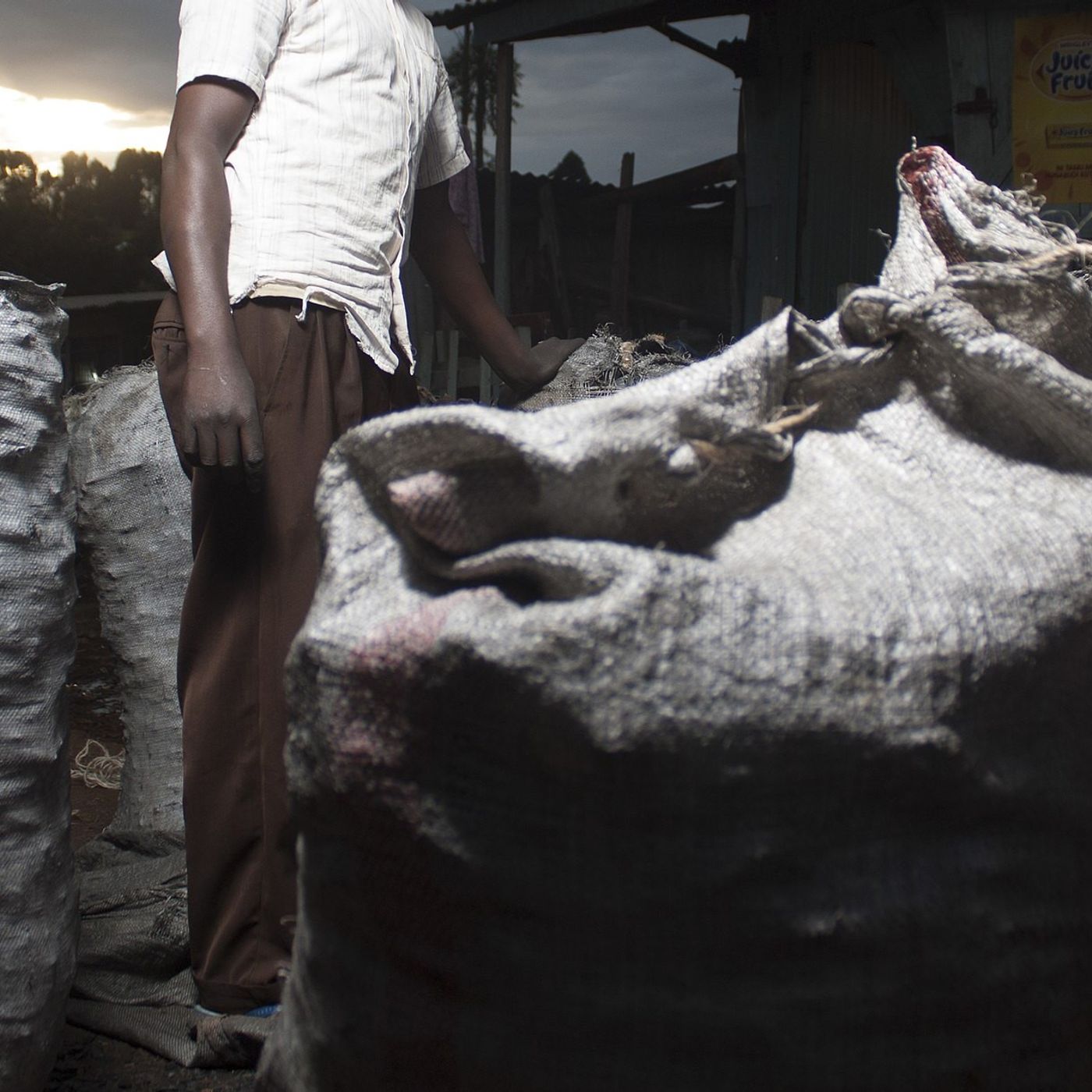 Dans le département de N'guigmi, le charbon de bois se produit à grande échelle (Le Niger sur Kalangou) episode artwork