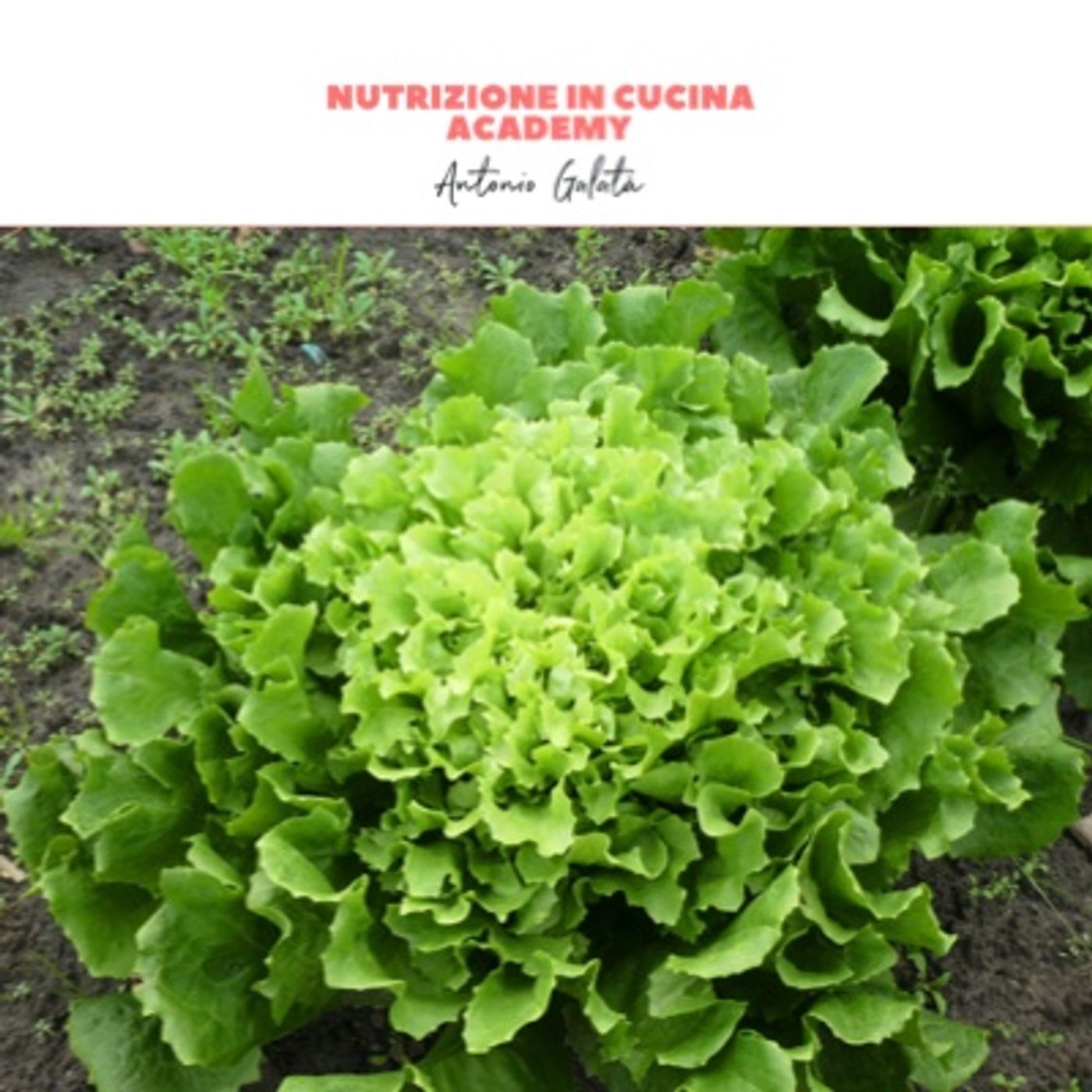 Nutrizione in Cucina Academy