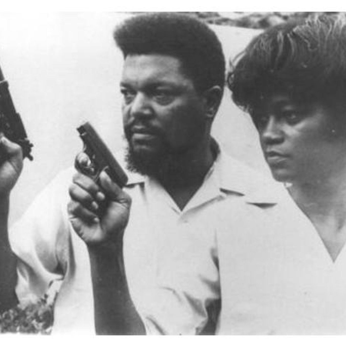 Robert F. Williams Tribute A True Afrikan Warrior episode artwork