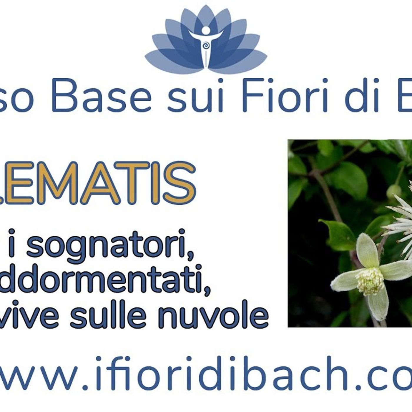 Fiori di Bach in pillole