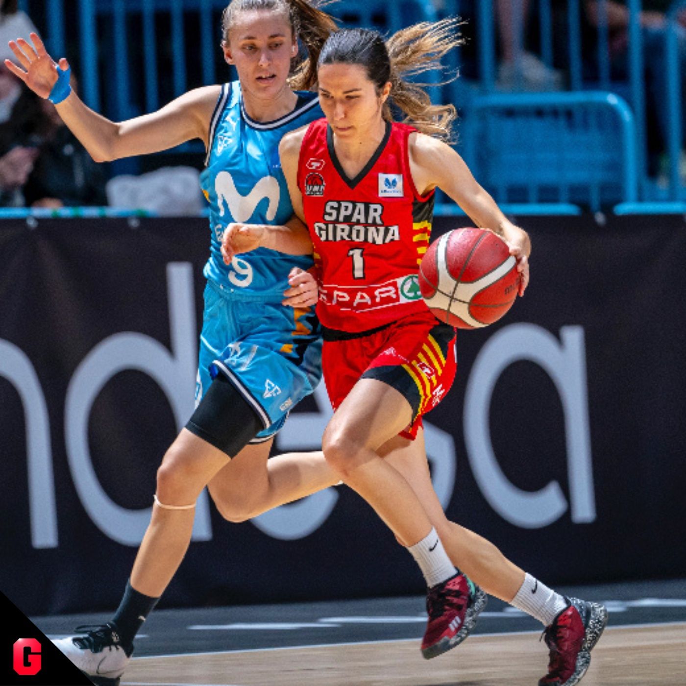 Gigantes Daily, baloncesto al día