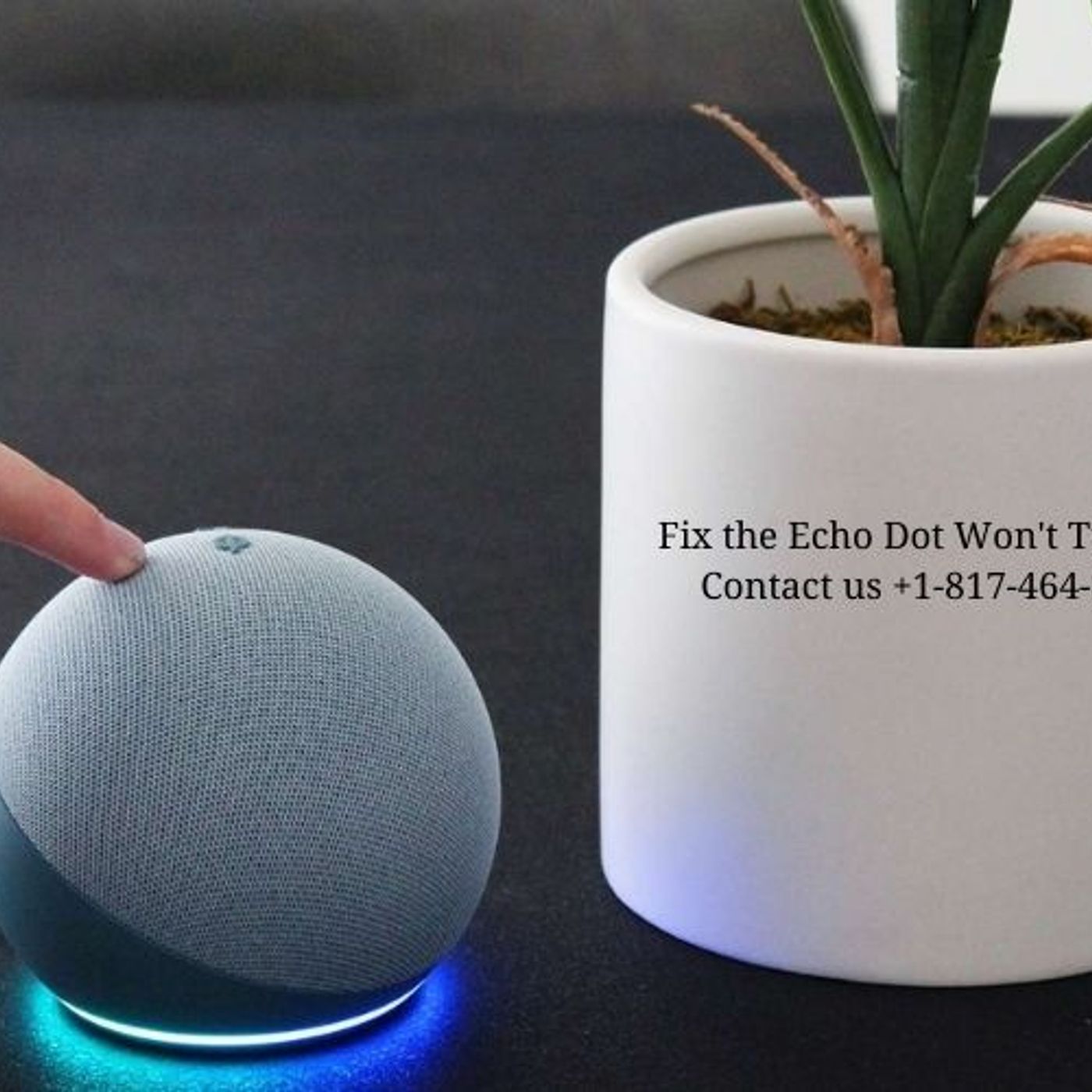 Echo Helpline