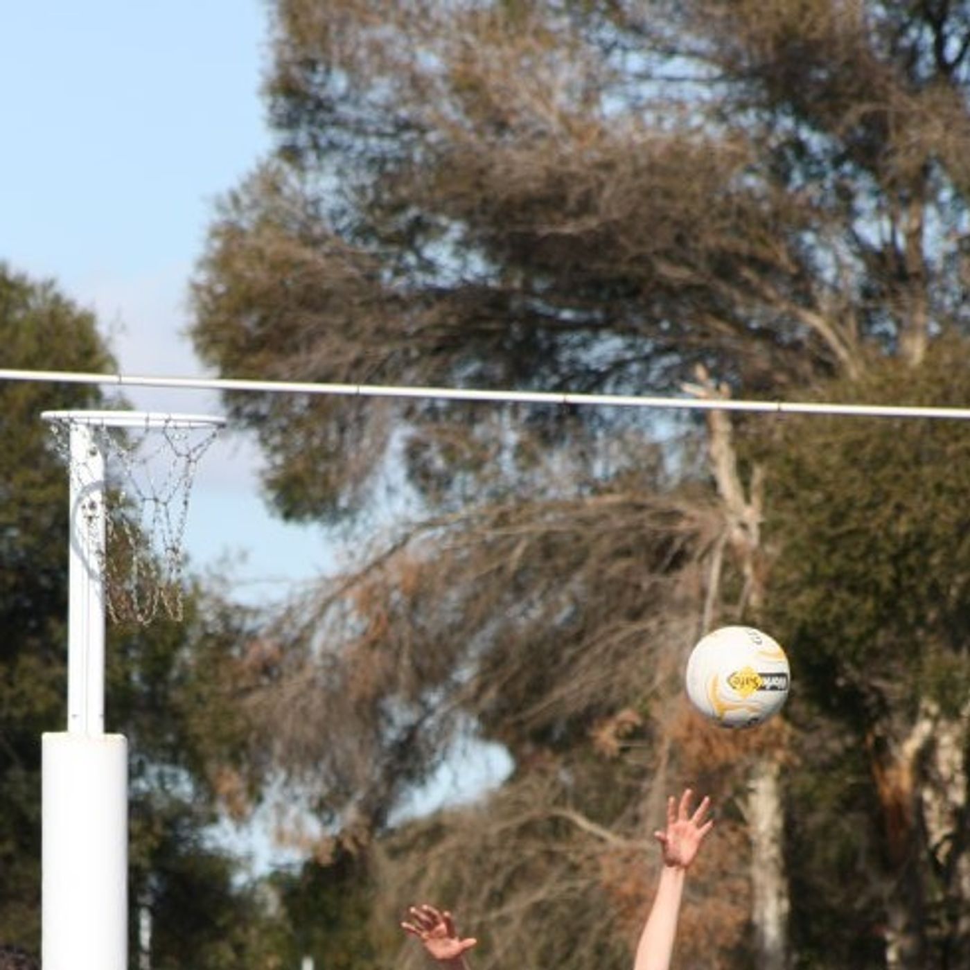 Hume Netball correspondent Carla Fletcher discusses the latest action on the Flow Friday Sports Show episode artwork