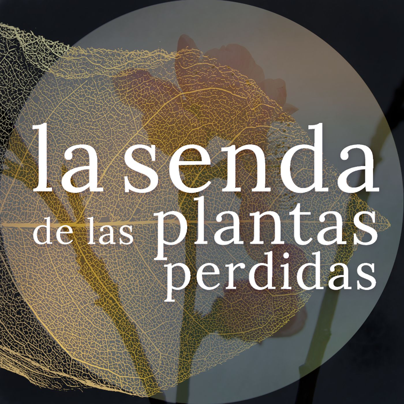 La Senda de las Plantas Perdidas