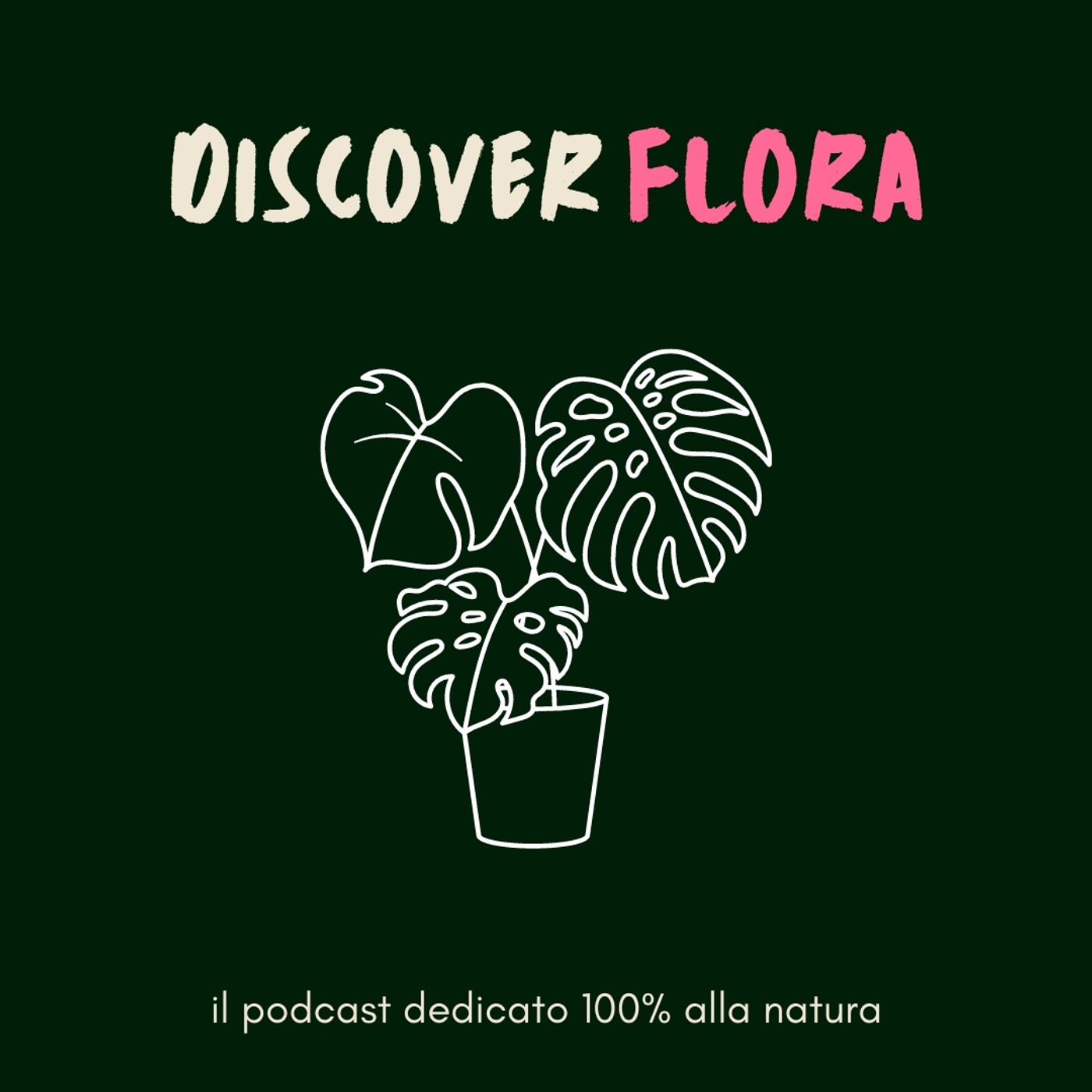 Discover Flora