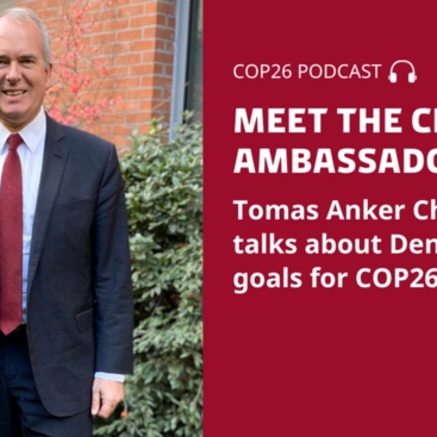 Ambassadørerne