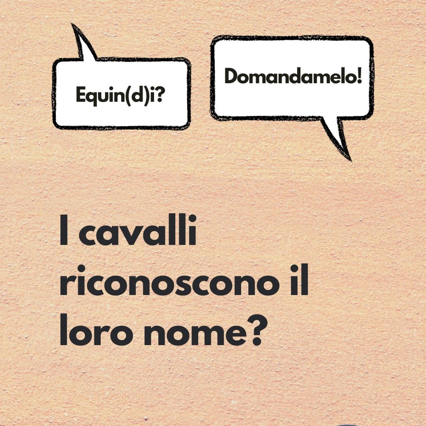 Etologia Equina, il comportamento del cavallo