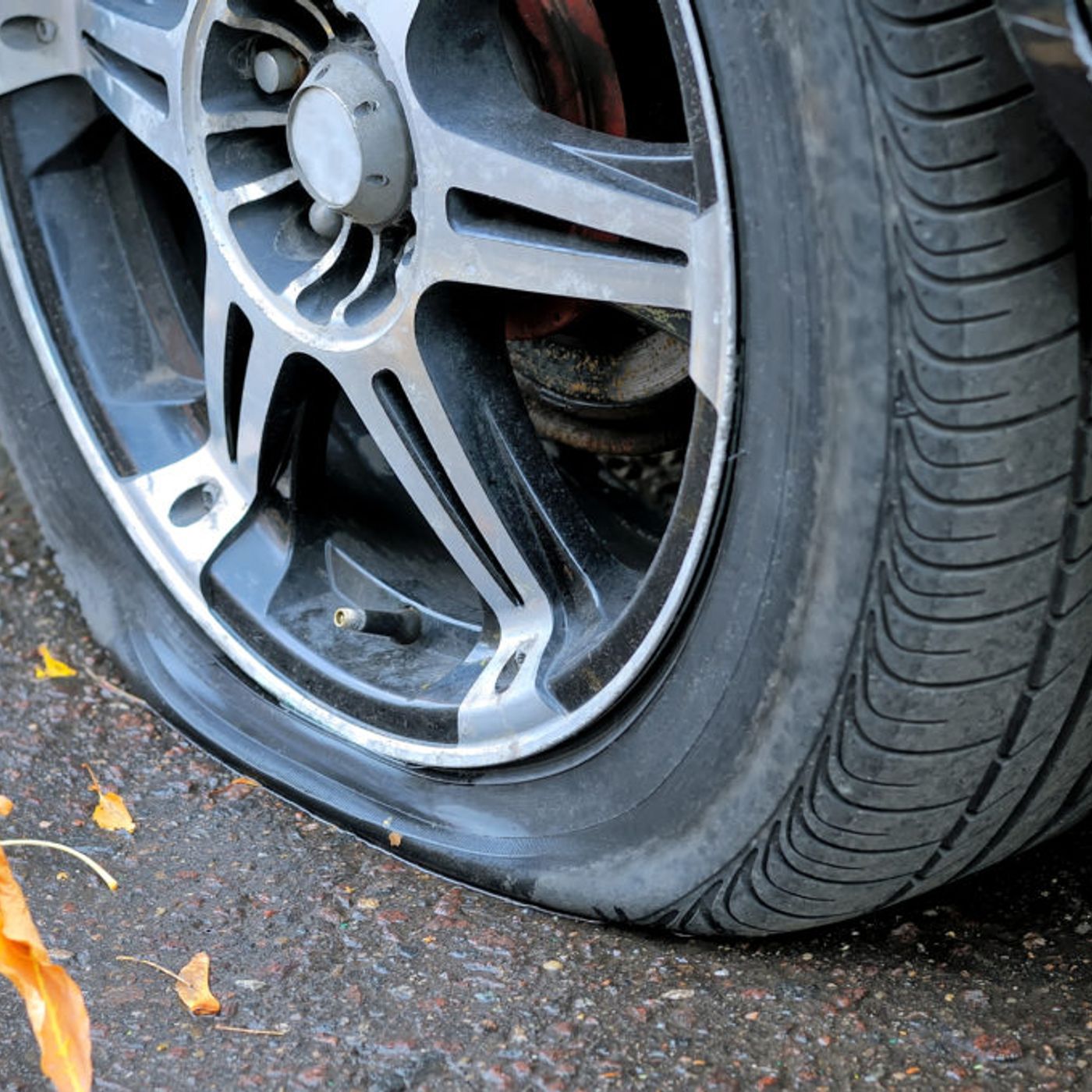 Historias de Miedo Noviembre 3 de 2021 UN EXTRAÑO SER EN VERACRUZ